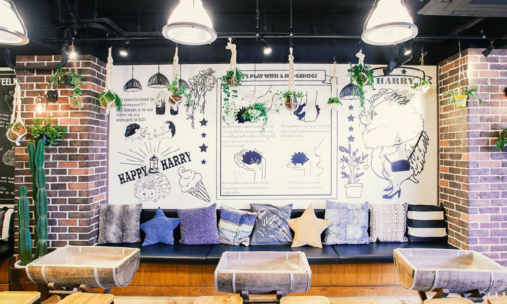 Seating area at HARRY hedgehog café in Harajuku, with wooden hedgehog trays in front of a cushioned bench and a hand-drawn HARRY mural