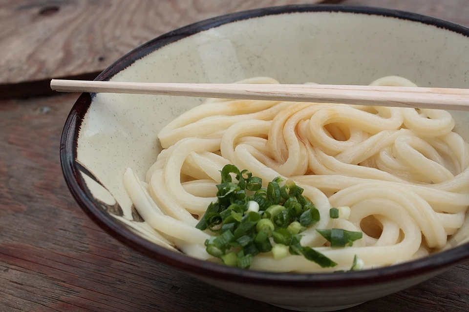 Bowl of thick kama-age Sanuki udon noodles topped with chopped spring onion, with chopsticks resting across the rim, in Takamatsu