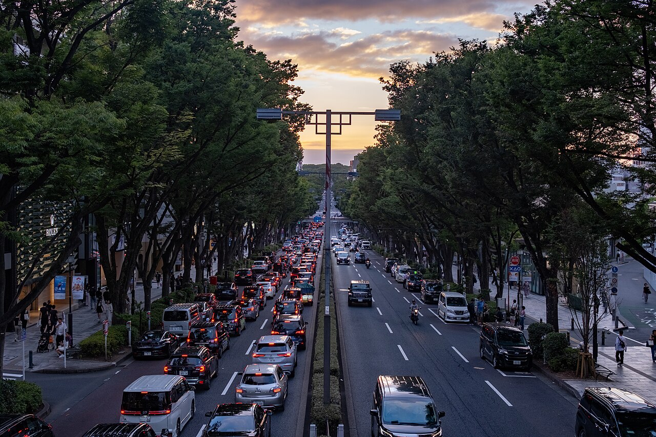 Omotesando Avenue at sunset seen from a pedestrian bridge, with zelkova trees lining both sides of the traffic