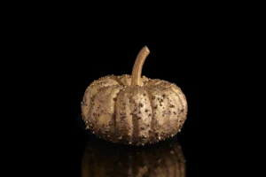 Small ceramic pumpkin in lustrous gold glaze studded with golden droplets, on a black background
