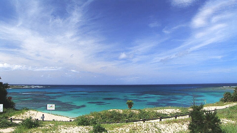 Turquoise lagoon and dark patches of coral reef seen from the grassy dunes above Tomori Beach on Amami Oshima